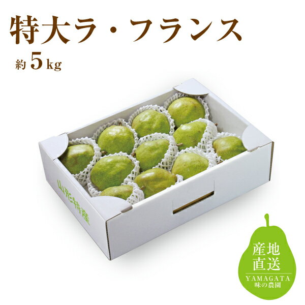 特大ラフランス 約5kg（49-O）のサムネイル