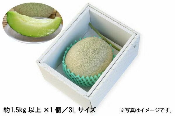andes Melon - 砂丘メロン（青肉）約1.5kg ×1個／3Lサイズ（02-K）