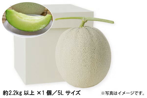 樂天商城 - 砂丘メロン（青肉）約2.2kg以上 ×1個／5Lサイズ（02-N）