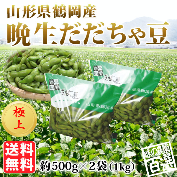 伊藤さんの極上晩生だだちゃ豆 約1kg（03-I）