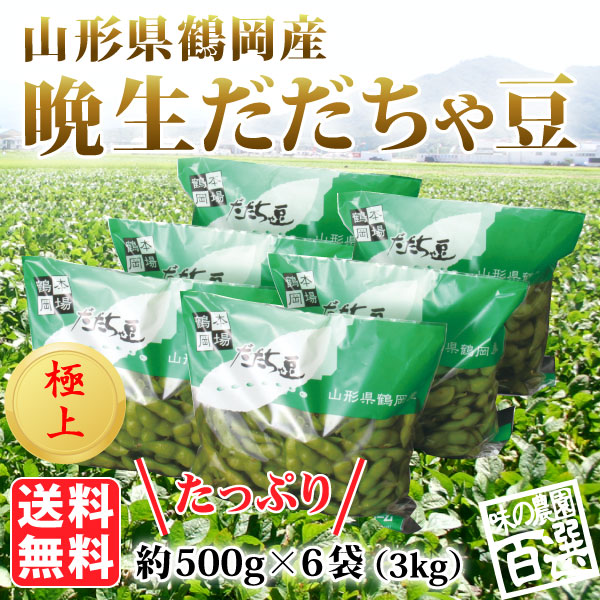 伊藤さんの極上晩生だだちゃ豆 約3kg（03-M）