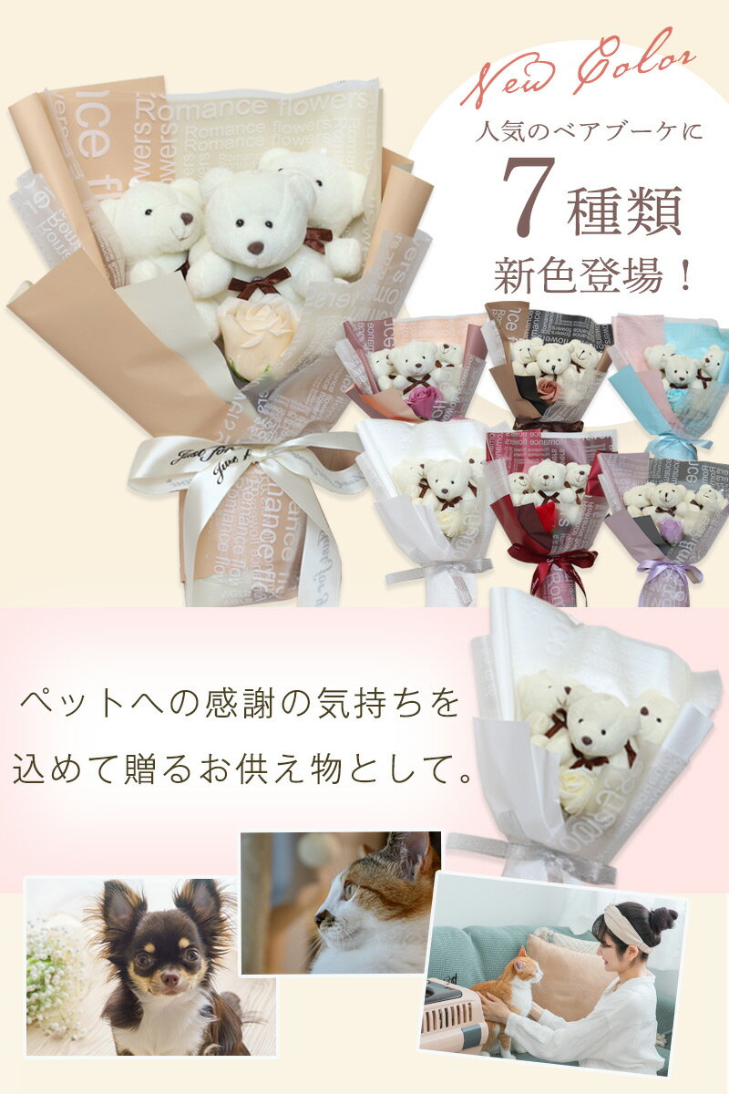 ������ �����ץե� ��« �� �ץ쥼��� �������ץ쥼��� ´�ȼ� ���ͼ� ´�༰ ´���� ȯɽ�� ���̲� �ղ��� ���� PTA ��ǰ�� ´�� ´���� ���� ���� ���� ´�ȵ�ǰ ´��ˤ� ´�Ƚˤ� �����ץե����ե� ���ع� ��ع� �⹻ ��� �� ��« �⹻�� ���������٥��֡���