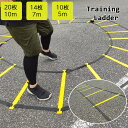 ラダートレーニング ラダー トレーニング 20枚 下半身トレーニング 10m 7m 5m トレーニングラダー アジリティ 野球 サッカー フットサル ミニバス 効果 練習 瞬発力 敏捷性 トレーニング用 アップ 部活 収納袋付き【送料無料】(4)