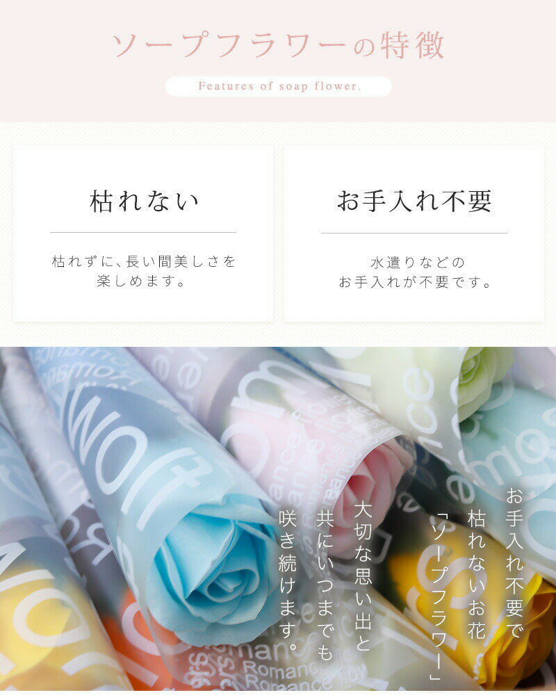 �����ץե� �ץ����ե� ´�� ��ǰ�� �࿦���뺧�� ������ ���� �ץ쥼��� ���ե� �л���ˤ� �� ��« ��ǰ�� ��Ź�ˤ� �ղ��� �࿦�ˤ� 1�إ����ץե� ´�ȼ� ´�༰ ´���� ���ͼ� ���٥�� ���֤� ���� �ѡ��ƥ��� ��쵭ǰ �� PTA ���� ´����