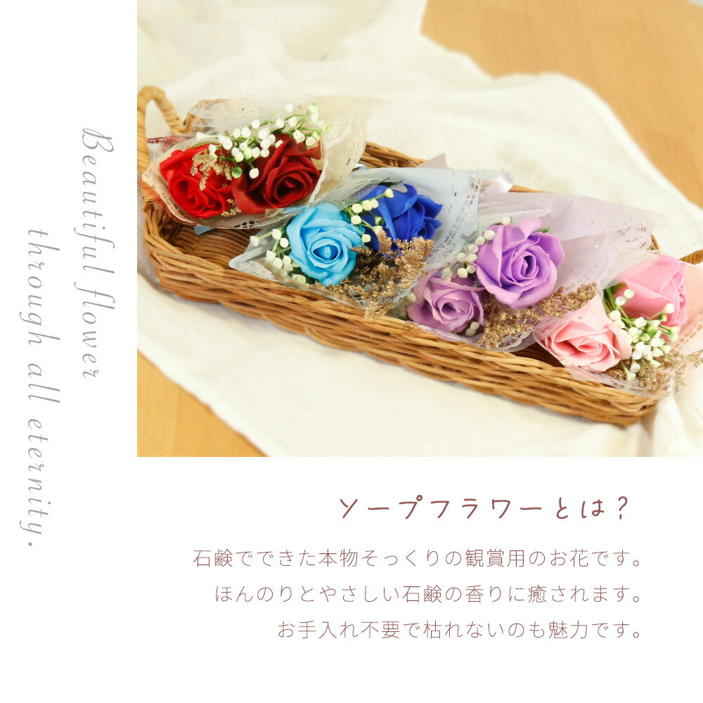 ����� ��������ե� 2026 ���줵�� ���꤬�Ȥ� hahanohi ���ؼ� ���༰ �����ץե� �ץ쥼��� ´�� ´�� ´�༰ ���̲� ž�� ������ �������ץ쥼��� �֡��� ��« �� �֥��ե� �������� �л��ˤ� ���� ���� ������ �ϥ󥫥� ���ե� ��ǰ�� ������ ���� ���襤��