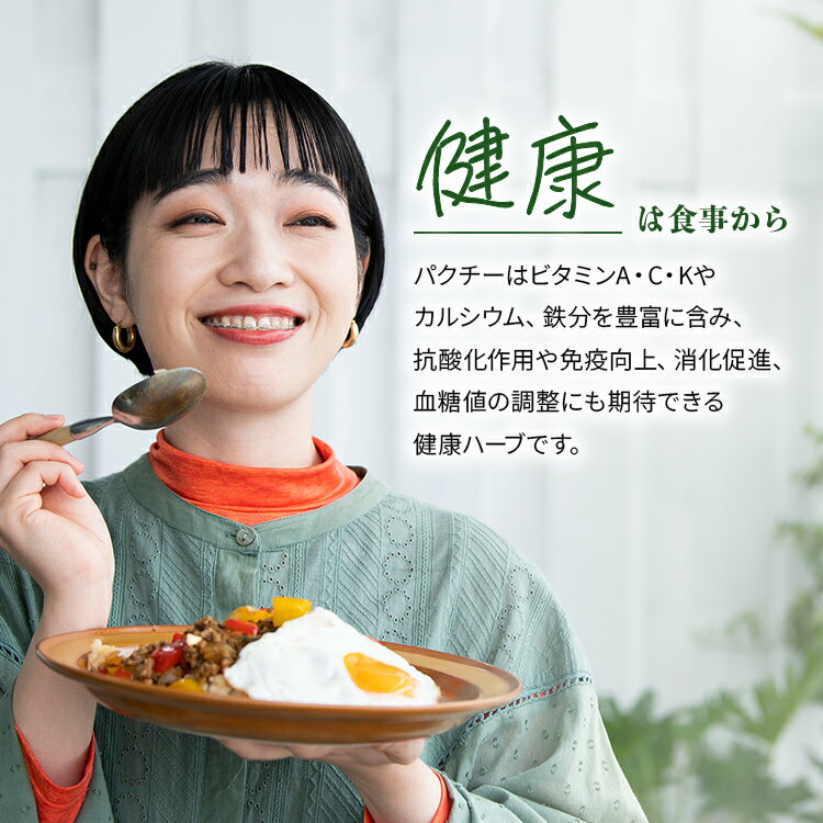 �ѥ����� 100g ʡ�縩�� �� ������� �٥ȥʥ����� �������� �����˥å� ���� ���ꥢ����� ��� ��������