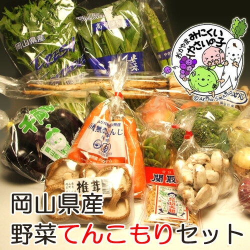 【全て岡山県産】たっぷり野菜10点以上入ります！岡山野菜セット10点以上てんこ盛り 05P27Jun14