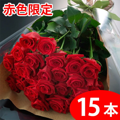 【送料無料】赤いバラの花束ギフト15本