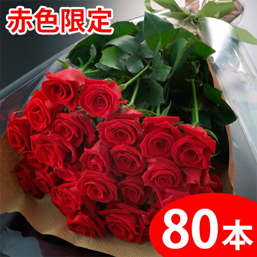 【送料無料】赤いバラの花束ギフト80本