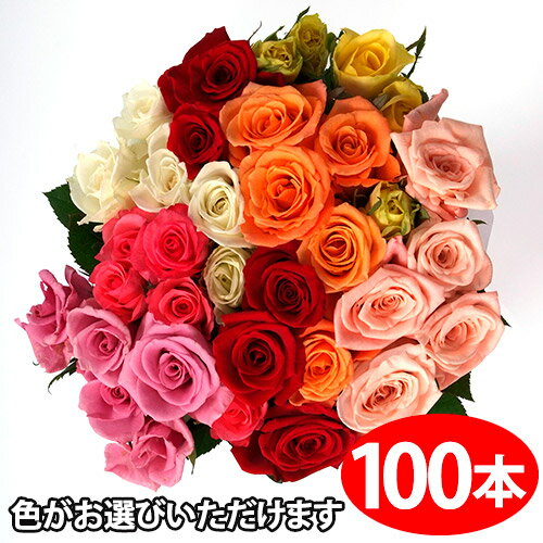 100本 色が選べるバラの花束ギフト100本　送料無料