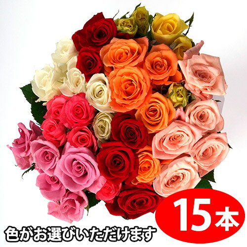 色が選べるバラの花束ギフト15本　送料無料