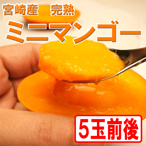 小さな芸術。宮崎産の完熟です。宮崎産 完熟ミニマンゴー5玉前後