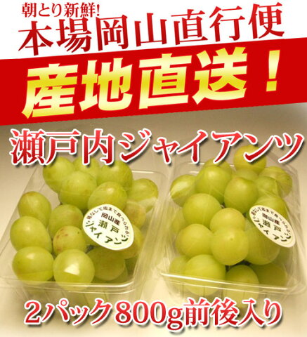 【送料無料】【岡山産】【ご自宅用】桃太郎名人の瀬戸ジャイアンツ2パック