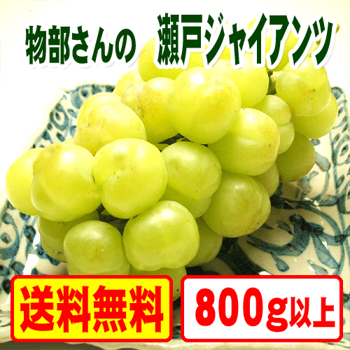 桃太郎ぶどうと同じ品種！薄皮が自慢の生産者さんです！9月中旬～物部さんの瀬戸ジャイアンツ80...