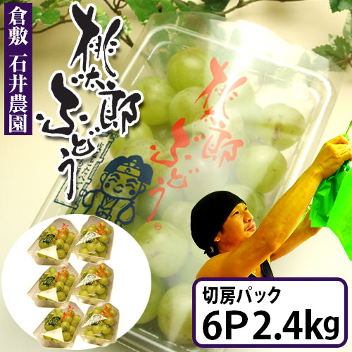 石井農園の桃太郎ぶどう　切房パック×6個入　計2.4Kg　種なしで皮ごと食べるまるで爽やかなゼリーのようなぶどう　ご自宅用パック ぶどう 岡山 倉敷 フルーツ