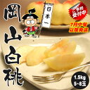 お試しに!ご自宅用!7月中旬〜7下旬発送【お試し】自宅用岡山白桃6玉前後約1.5kg 白桃 岡山 桃
