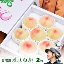 桃 岡山白桃 晩生 自宅用 2kg箱 5~8玉 〇浅 生産者限定商品 訳あり品 7月下旬~9月初旬収穫品 お盆の御供 帰省のお土産にも