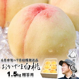 岡山白桃 早生 贈答 1.5kg箱 6〜8玉 岡山県産白桃 〇浅 生産者限定商品 6月下旬〜7月下旬収穫品