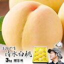 清水白桃 贈答 3kg箱 8〜11 岡山県産白桃 〇浅 生産者限定商品 7月下旬〜8月初旬収穫品