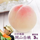 臼井桃園 白桃 進物用 1.5Kg箱 2Kg箱 3Kg箱 4Kg箱 栽培園限定商品 岡山県産白桃 送料無料【早期ご予約受付中】お中元