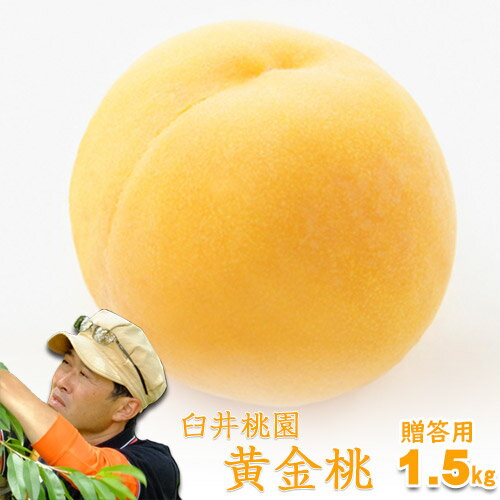 桃 臼井桃園 黄金桃 進物用 1.5Kg 4～6玉 栽培園限定商品 送料無料 希少品のため収穫予定数量完売と同時に販売終了致します【早期ご予約受付中】