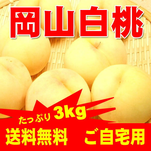 期間中ポイント5倍 岡山県産白桃 ご自宅用訳あり 3Kg 10〜15玉 岡山白桃物語 送料無料 お試し