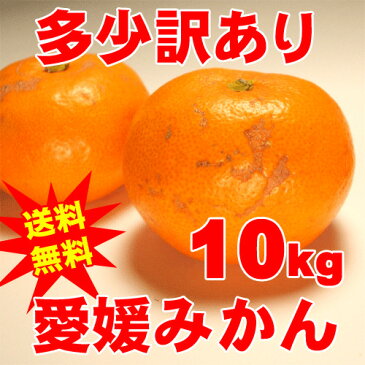 訳あり自宅用 みかん 10kg箱 愛媛県産 【お歳暮、お年賀】【送料無料】【訳あり】 期間限定 ポイント5倍