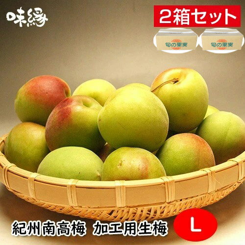 梅 うめ 紀州南高梅 生梅 青梅 完熟梅 秀品 Lサイズ 5Kg×2箱 10Kg 和歌山県産 産地 直送品 国産 早期ご予約 数量限定…