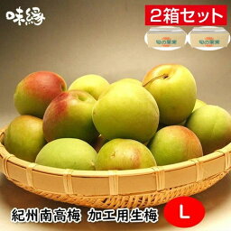 梅 うめ 紀州南高梅 生梅 青梅 完熟梅 秀品 Lサイズ 5Kg×2箱 10Kg 和歌山県産 産地 直送品 国産 早期ご予約 数量限定 冷蔵便 送料無料 数量限定品 梅干し 梅酒 梅ジュース 梅ジャム 梅シロップ 加工 梅 加工用梅