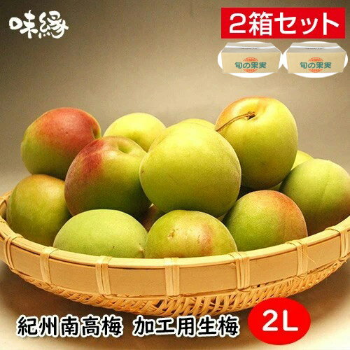 梅 うめ 紀州南高梅 生梅 青梅 完熟梅 秀品 2Lサイズ 5Kg×2箱 10Kg 和歌山県産 産地 直送品 国産 早期ご予約 数量限…