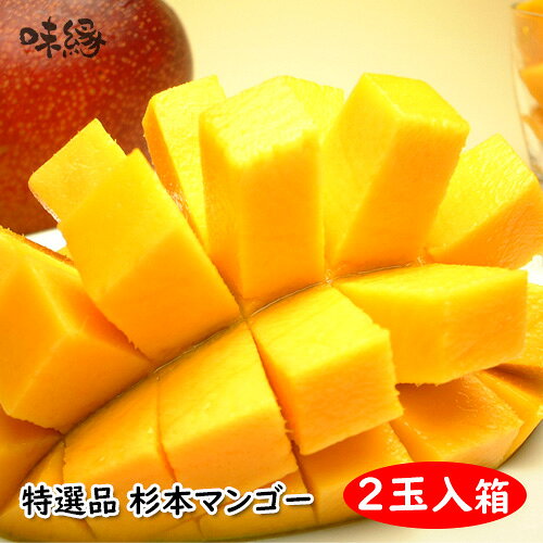 サンプル画像3