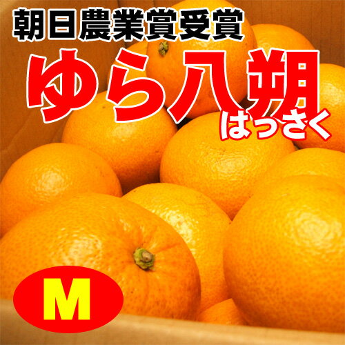 和歌山県由良町産木成り・さつき八朔(はっさく)Mサイズ 5kg