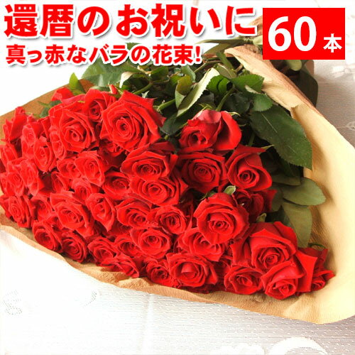 60本の赤いバラ 還暦祝いに赤いバラの花束ギフト60本！生産者直送だからバラの鮮度が違う！還暦の赤い薔薇ならこれ 還暦御祝い　花束還暦用 記念日 産地直送の薔薇 生産者直のばら 鮮度の良いバラ【送料無料】