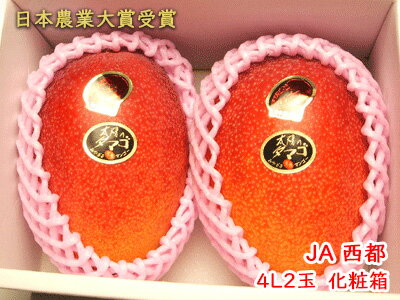 【JA西都】完熟マンゴー太陽のタマゴ4Lサイズ2玉