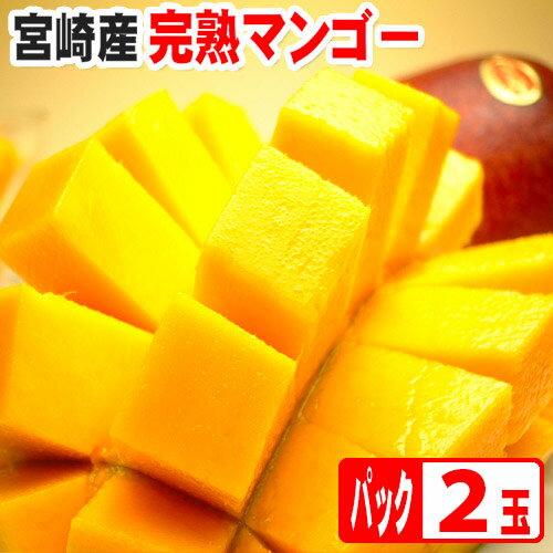 宮崎産 完熟マンゴー2玉パック約400g