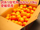 訳あり自宅用 みかん 10kg箱 愛媛県産 【お歳暮、お年賀】【送料無料】【訳あり】