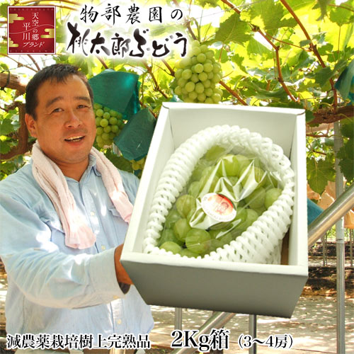 桃 2kg ぶどうの通販 価格比較 価格 Com