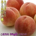 和歌山 あら川 ○百の桃 3Kg 11玉 和歌山産 最高グレードの逸品 お中元に最適 【早期ご予約受付中】