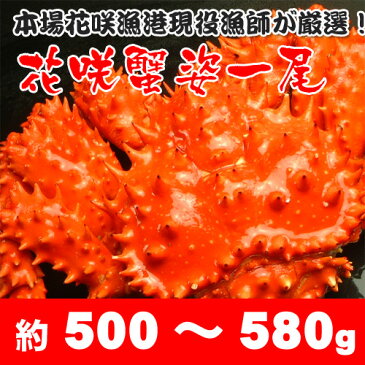 《送料無料》ボイル花咲蟹姿500〜580g/花咲蟹/ハナサキガニ/はなさきがに/姿身/贈り物/北海道/根室/産地直送/現役漁師/熨斗可/メッセージ可/お歳暮/送料込み