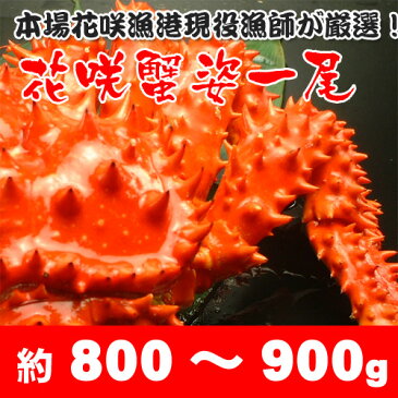 ボイル花咲蟹姿800〜900g/花咲蟹/ハナサキガニ/はなさきがに/姿身/贈り物/北海道/根室/産地直送/現役漁師/熨斗可/メッセージ可/お歳暮/送料込み/送料無料