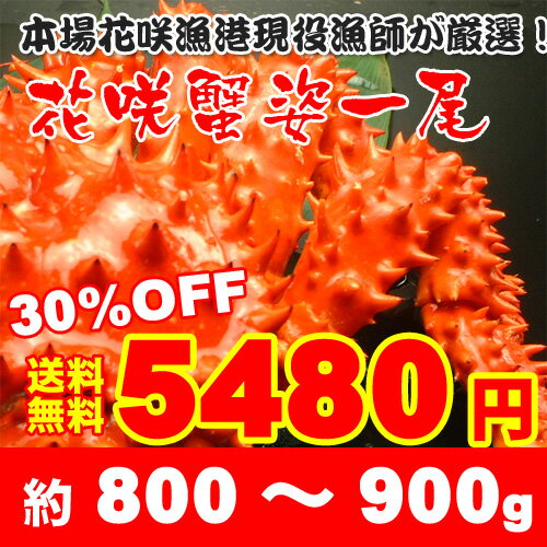 《送料無料》ボイル花咲蟹姿800〜900g/花咲蟹/ハナサキガニ/はなさきがに/姿身/贈り物/北海道/根室/産地直送/現役漁師/熨斗可/メッセージ可/お歳暮/送料込み
