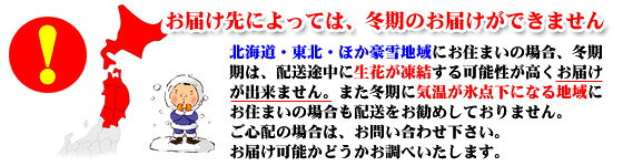 開店・開業・お礼・退職・移転・楽屋見舞い・結婚祝い・誕生日・記念日・ビジネス...