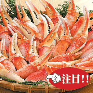 濃厚でコク深い味わい！【送料無料】ボイルずわい蟹爪ポーション約800g