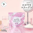 かがやきコラーゲン100g コラーゲン フィッシュコラーゲン 魚由来100％ Wの乳酸菌配合 乳酸菌 シンデレラ乳酸菌 シールド乳酸菌 ダイエット 健康 美容 脂質ゼロ 脂質0 低糖質 豚由来に比べて吸収率1.5倍 高純度 無着色 無香料