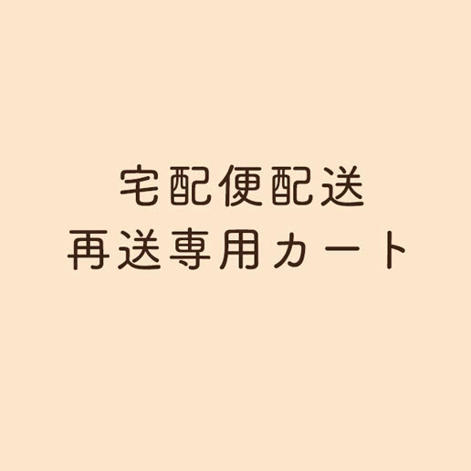 宅配便変更サービス★再送料★ 快速便配送（郵便配送の商品を宅配便へ変更する際ににご利用頂く商品です。また郵便配送の商品を宅配便へ変更して再送する際にもご利用頂けます。） 訳あり