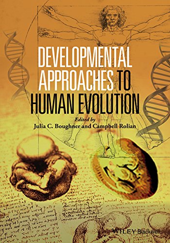 楽天AJIMURA-SHOP【中古】【未使用・未開封品】Developmental Approaches to Human Evolution