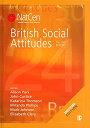 yÁzygpEJizBritish Social Attitudes (British Social Attitudes Survey series)