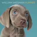 【中古】【未使用・未開封品】William Wegman Puppies 2019 Wall Calendarの商品画像