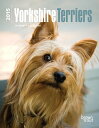 【中古】【未使用・未開封品】Yorkshire Terriers 2015 Calendar