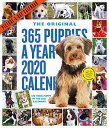 【中古】【未使用・未開封品】365 Puppies-a-Year Picture-a-Day 2020 Calendarの商品画像